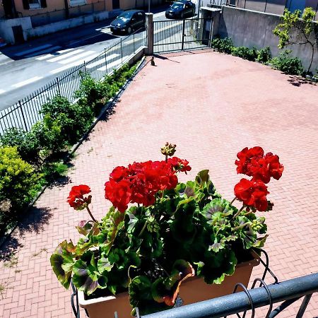 Casa Marina Lägenhet Verbania Exteriör bild